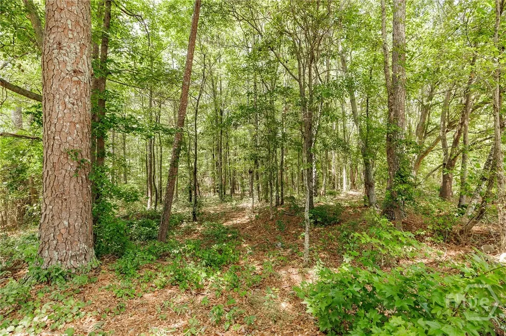 1550 Salem Road Watkinsville GA 30677