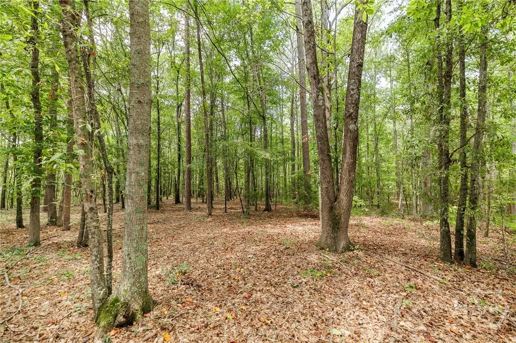 1550 Salem Road Watkinsville GA 30677