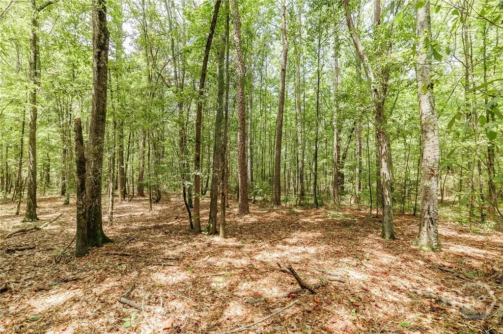 1550 Salem Road Watkinsville GA 30677