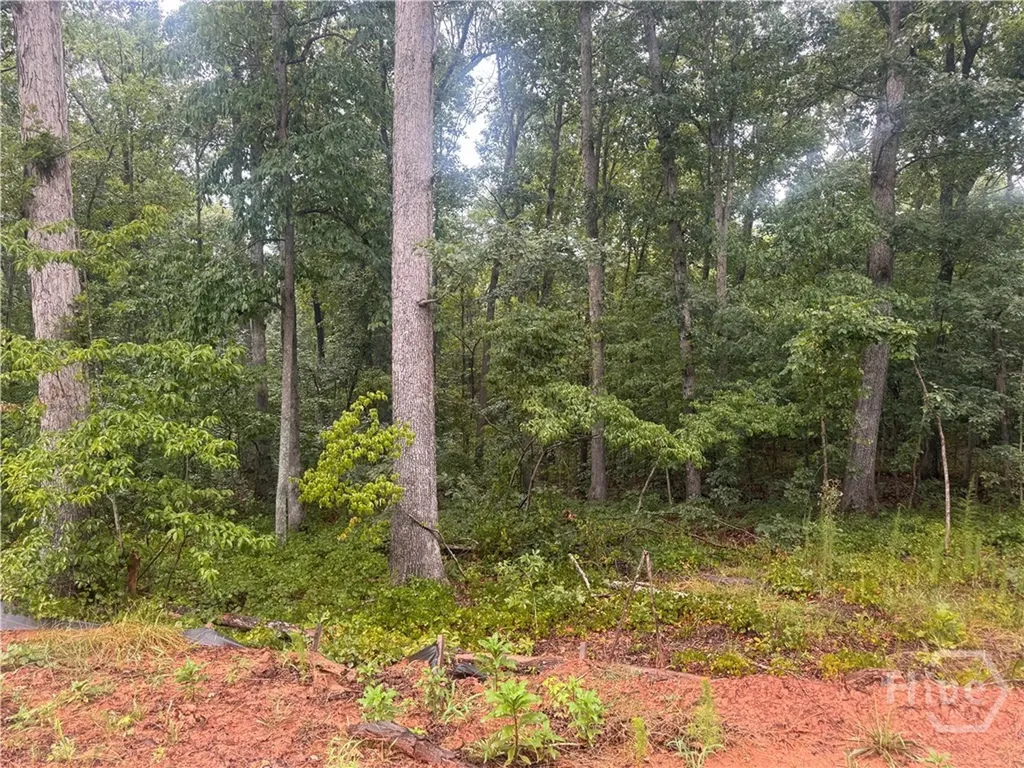 2A Curry Falls Trail Road Athens GA 30607