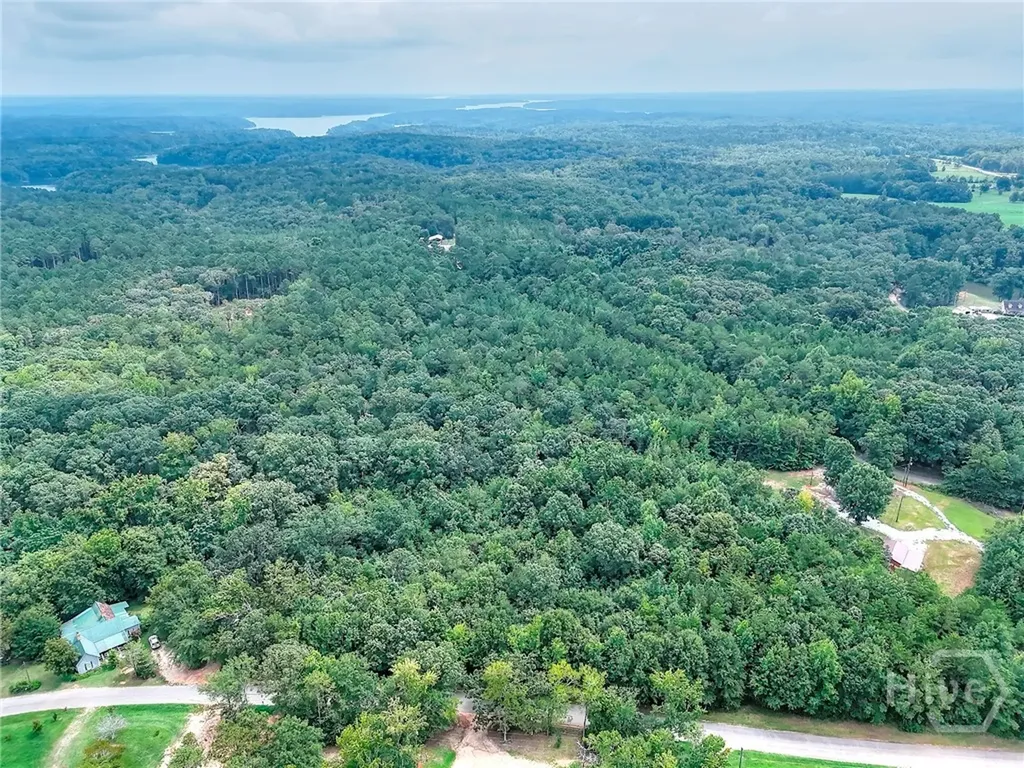0 Pickens Point Drive Elberton GA 30635