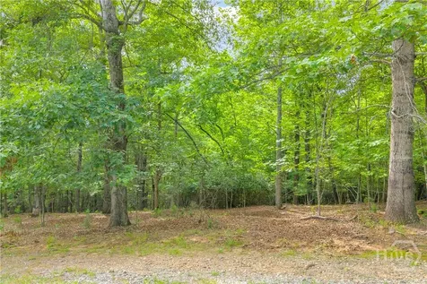 25 Forked Leaf Road Cleveland GA 30528