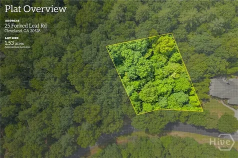 25 Forked Leaf Road Cleveland GA 30528