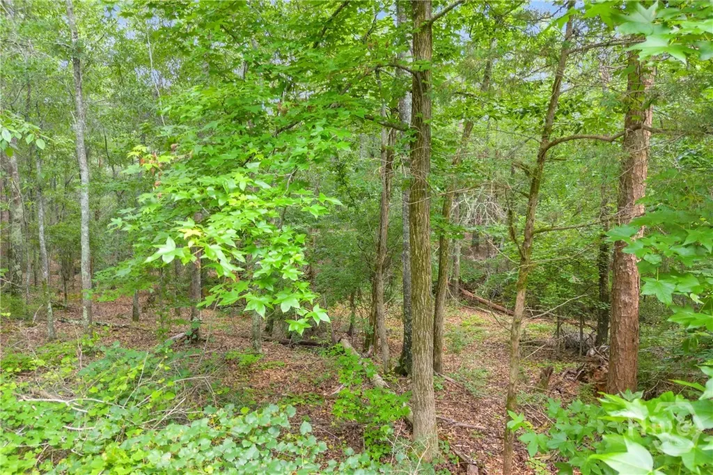 1655 Cleveland Road Bogart GA 30622