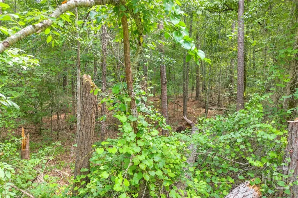 1655 Cleveland Road Bogart GA 30622