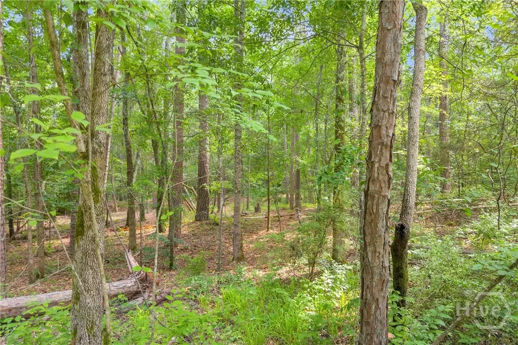 1655 Cleveland Road Bogart GA 30622
