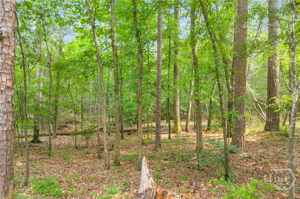 1655 Cleveland Road Bogart GA 30622