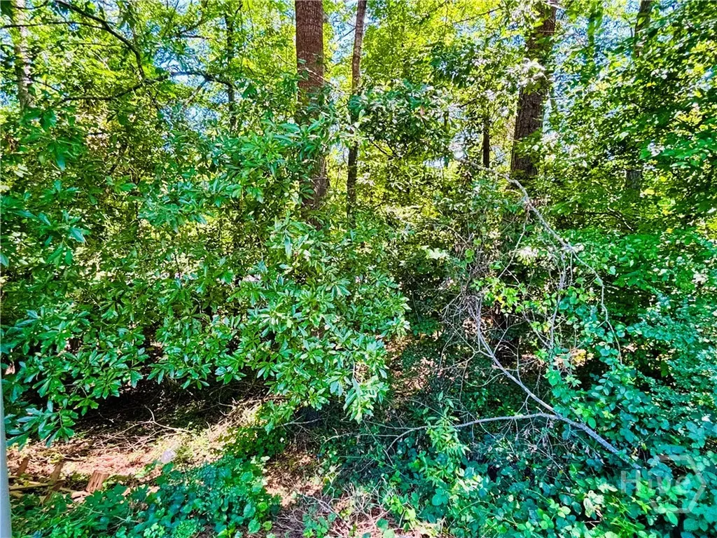 110 Saxon Woods Drive Athens GA 30607