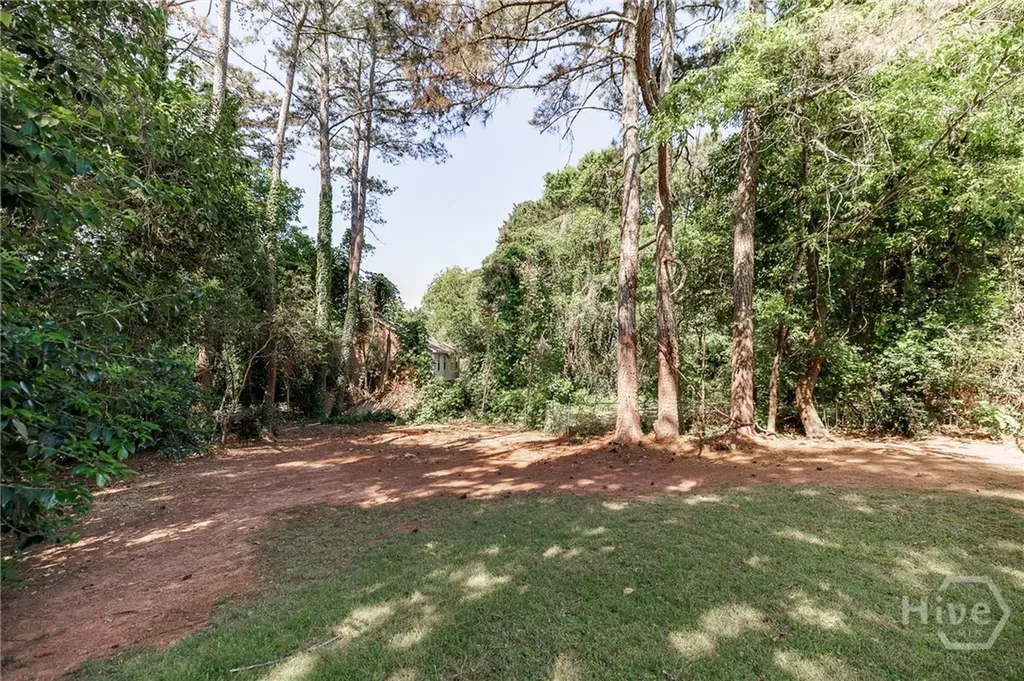 145 Pineview Drive Athens GA 30606