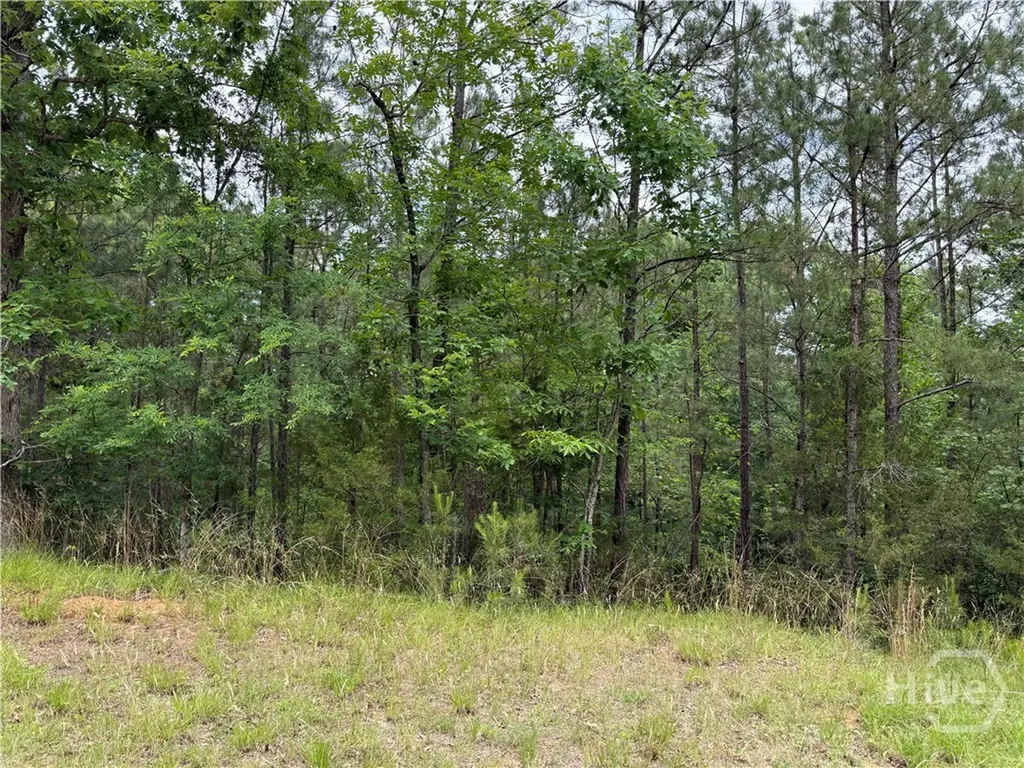 Lot 51 Bramlett Creek Elberton GA 30635