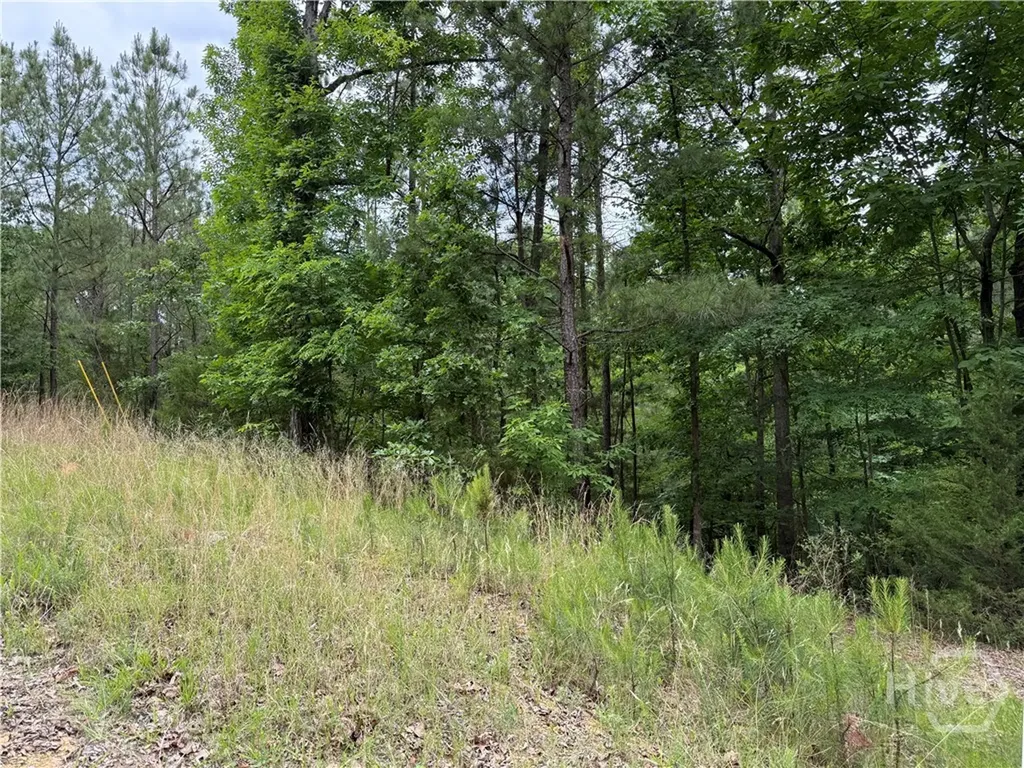 Lot 52 Bramlett Creek Elberton GA 30635