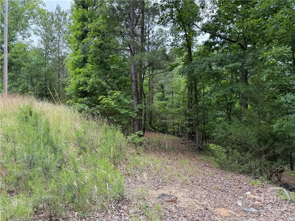 Lot 52 Bramlett Creek Elberton GA 30635