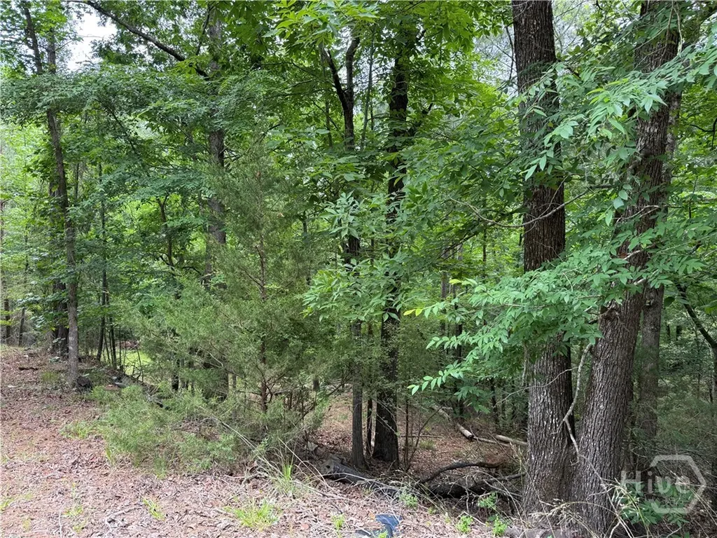 Lot 52 Bramlett Creek Elberton GA 30635