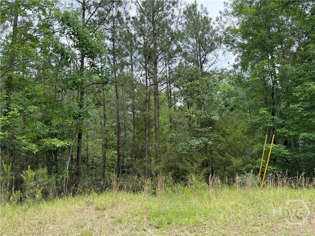 0 Bramlett Circle Elberton GA 30635