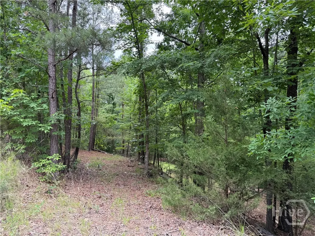 0 Bramlett Circle Elberton GA 30635
