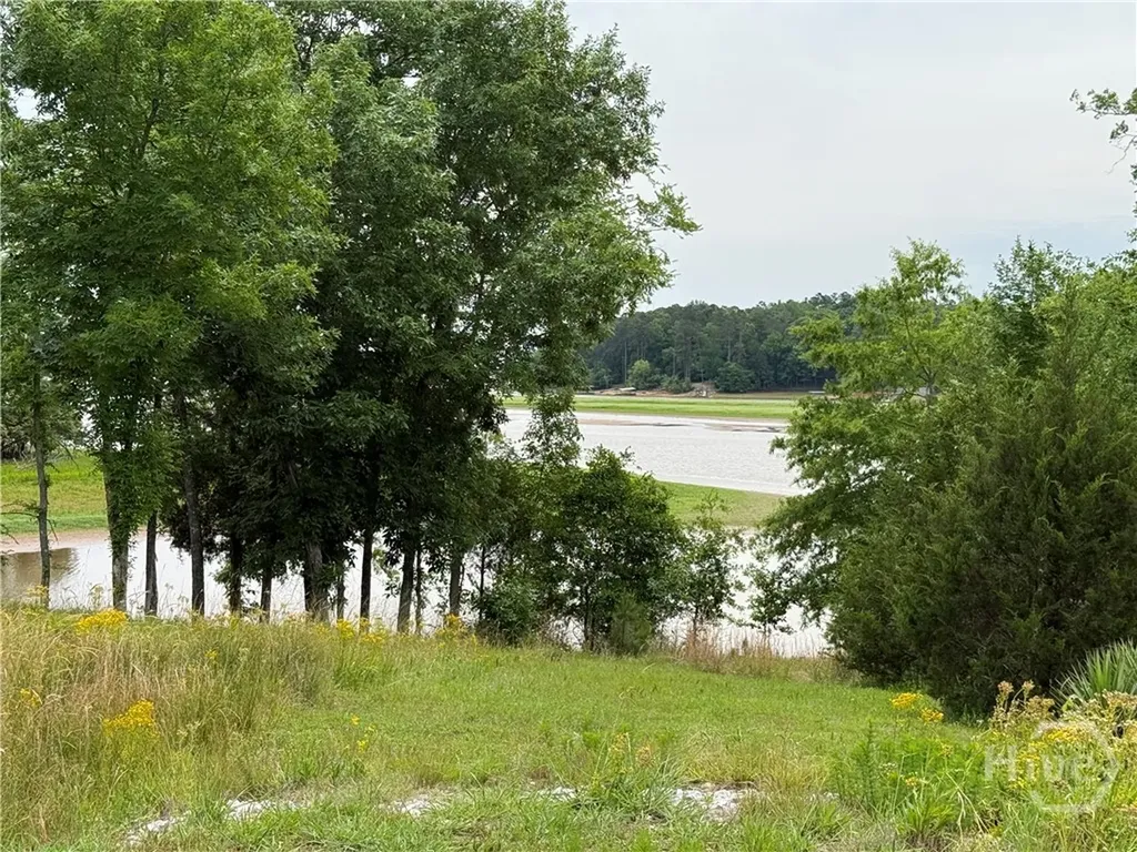 0 Bramlett Circle Elberton GA 30635