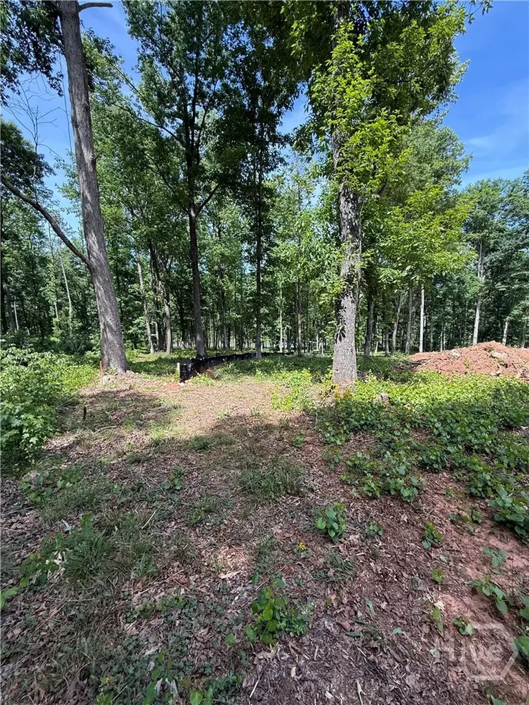 354 Sanford Oak Court Nicholson GA 30565