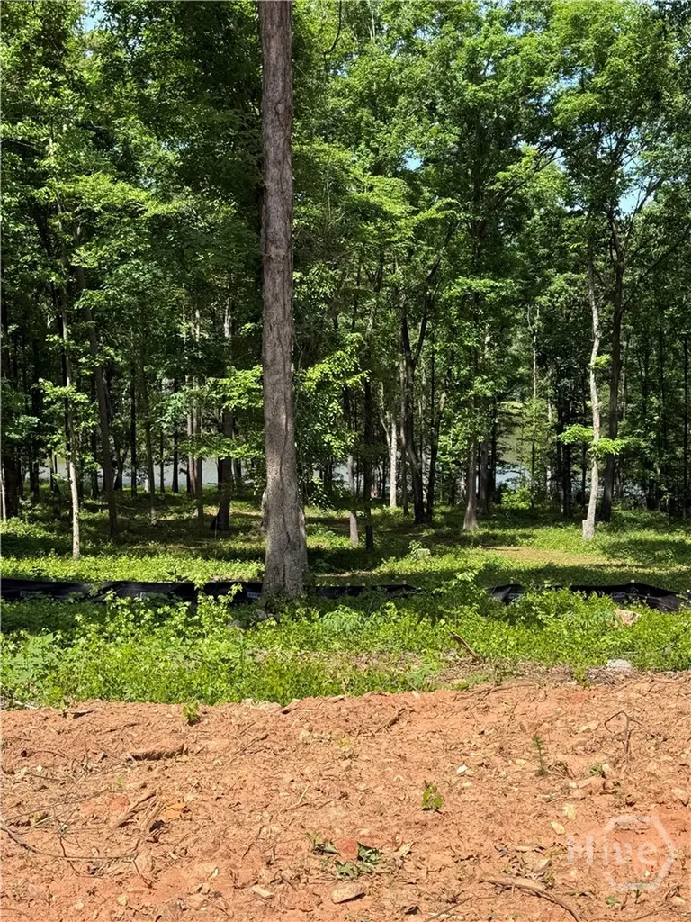 354 Sanford Oak Court Nicholson GA 30565
