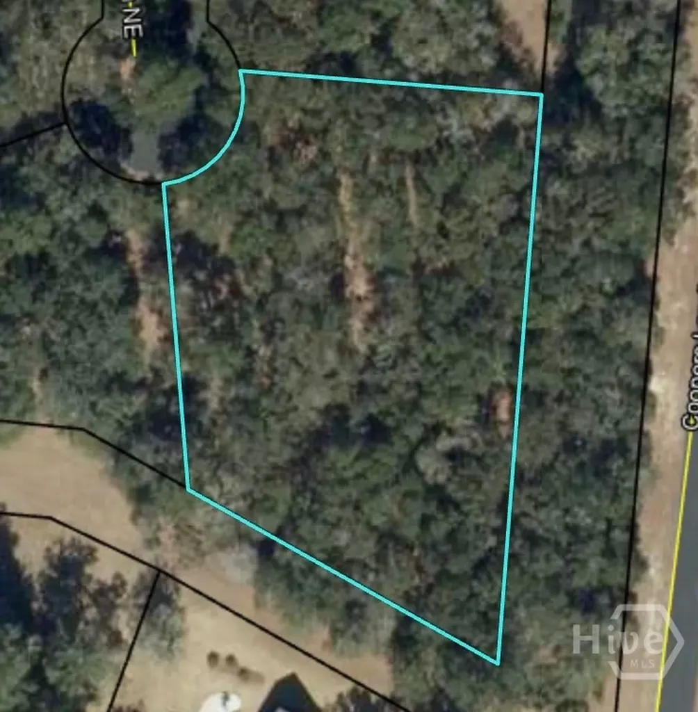 0 Blackberry Lane NE Townsend GA 31331