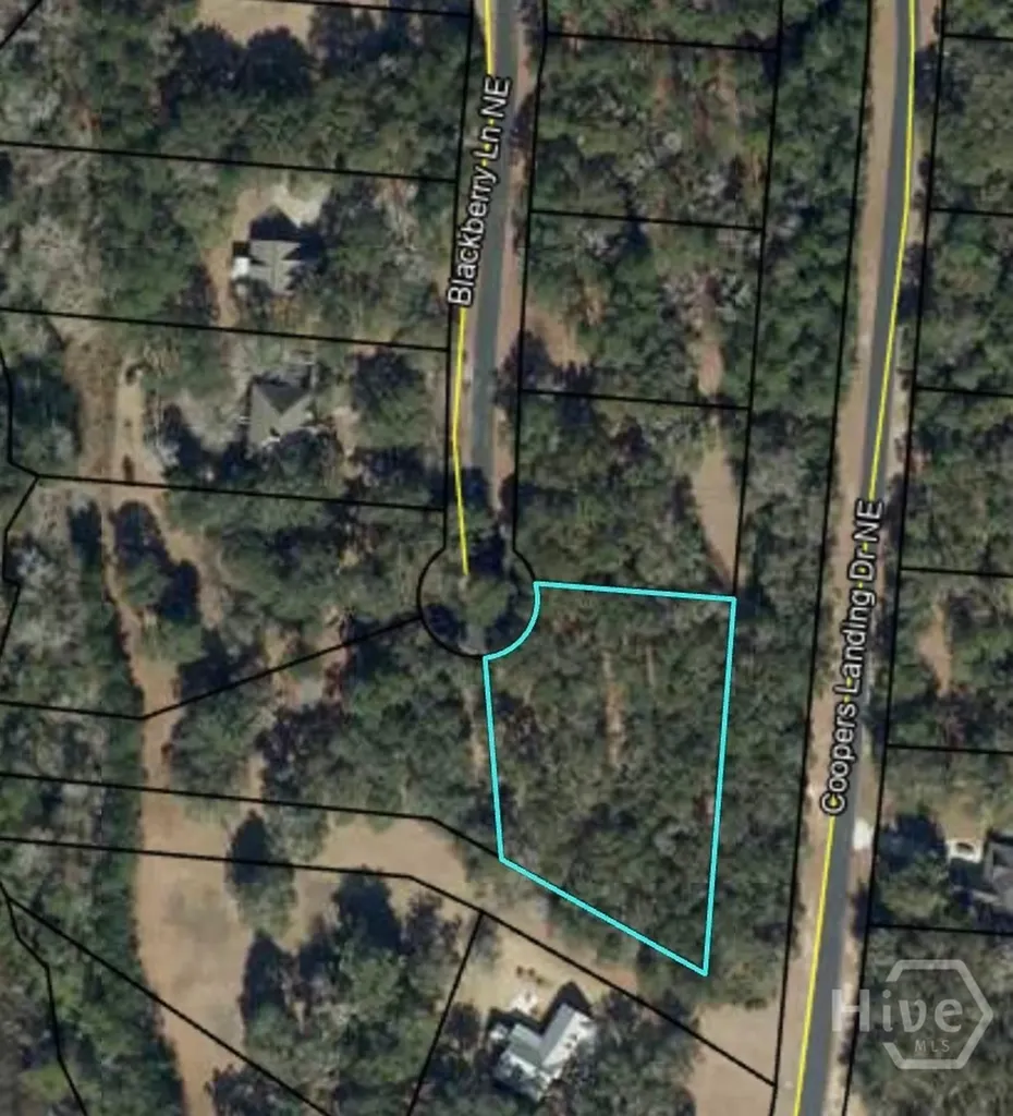 0 Blackberry Lane NE Townsend GA 31331