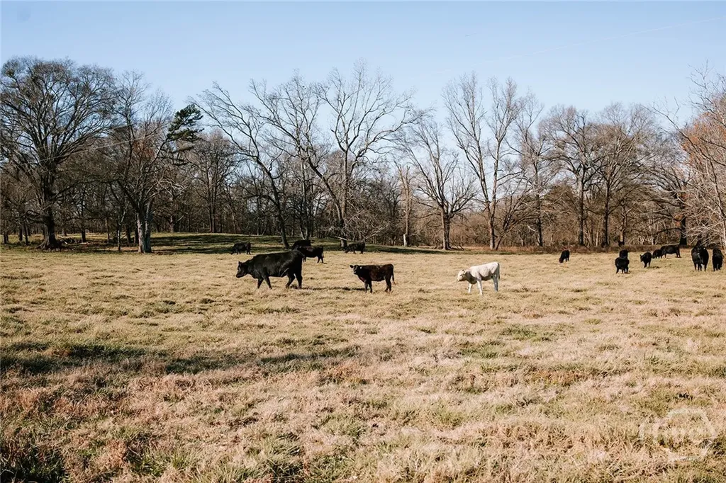 0 Ralph Bridges Road Lexington GA 30648
