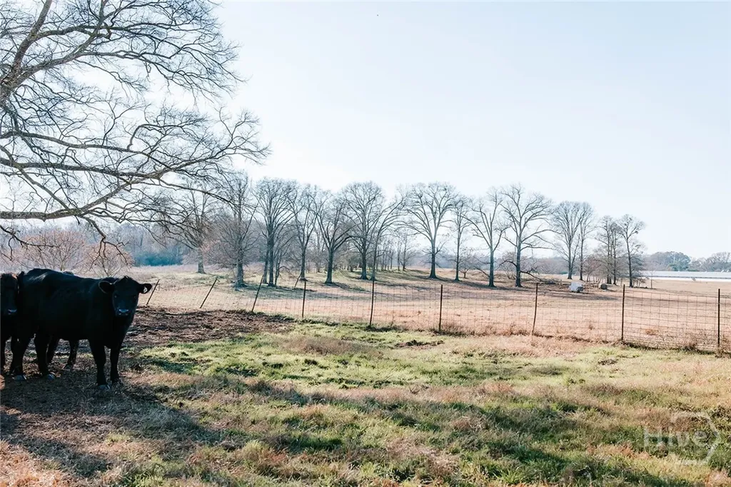 0 Ralph Bridges Road Lexington GA 30648