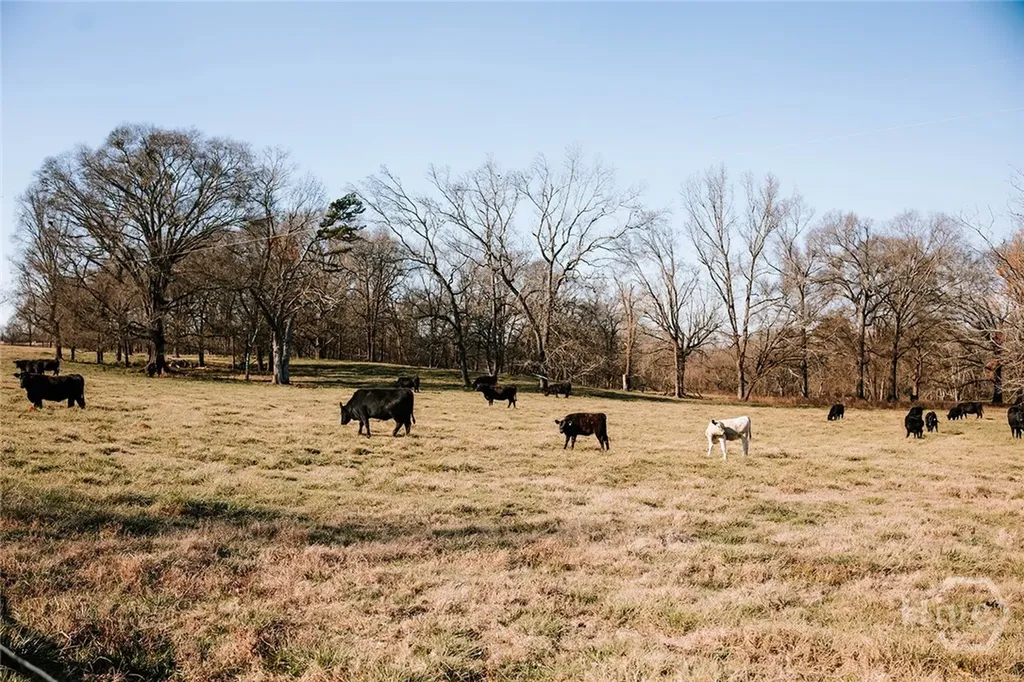 0 Ralph Bridges Road Lexington GA 30648