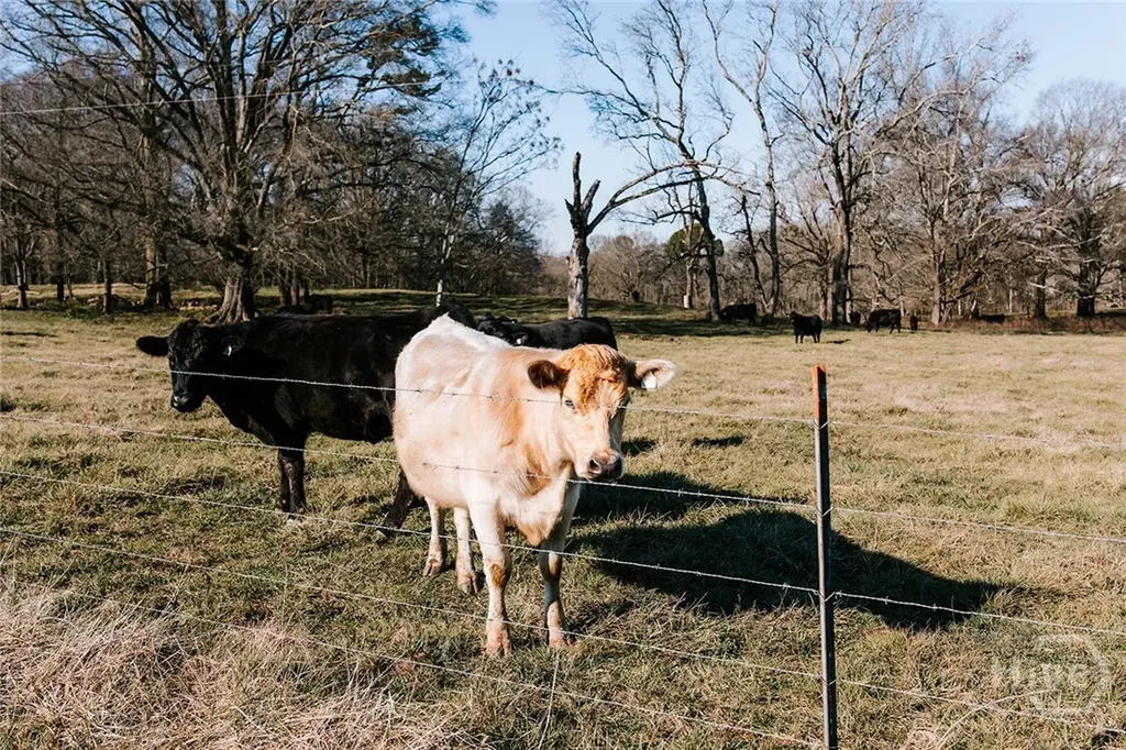 0 Ralph Bridges Road Lexington GA 30648