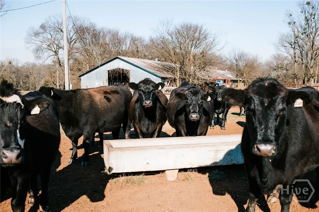 0 Ralph Bridges Road Lexington GA 30648