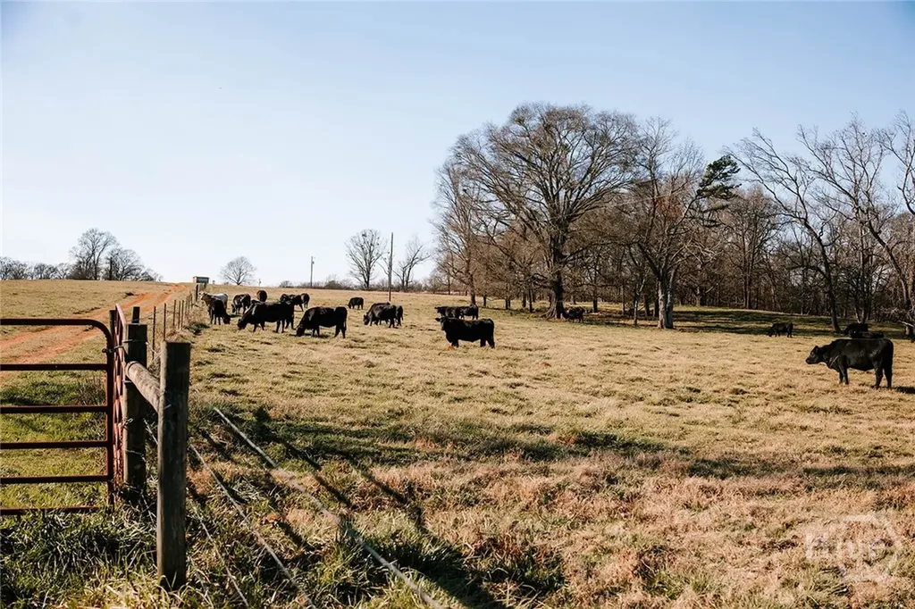0 Ralph Bridges Road Lexington GA 30648