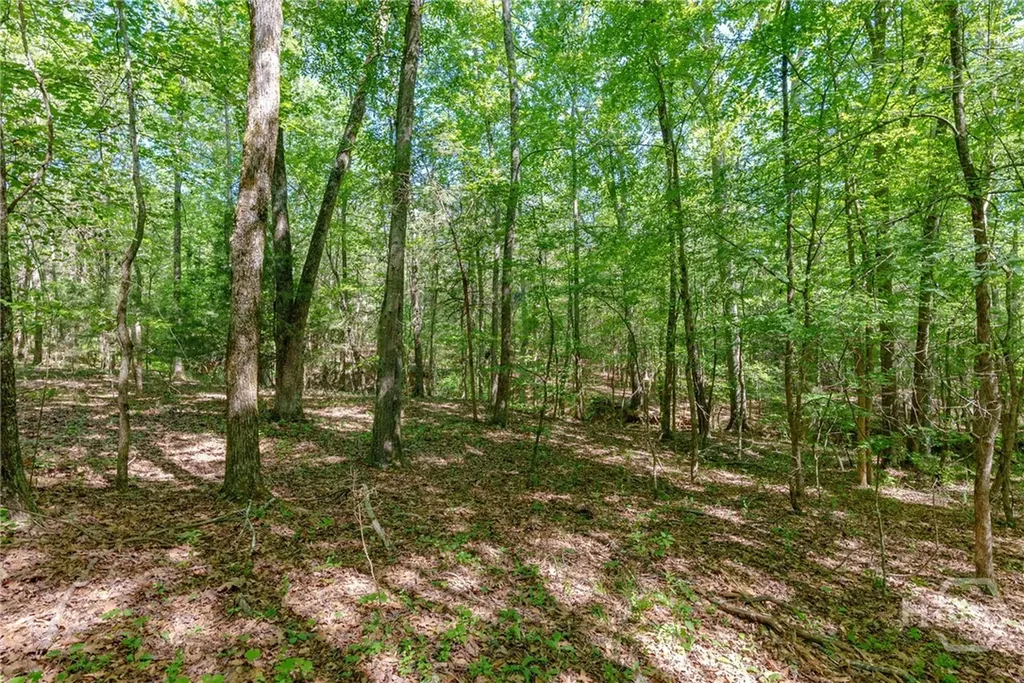 0 Cunningham Road Lexington GA 30648