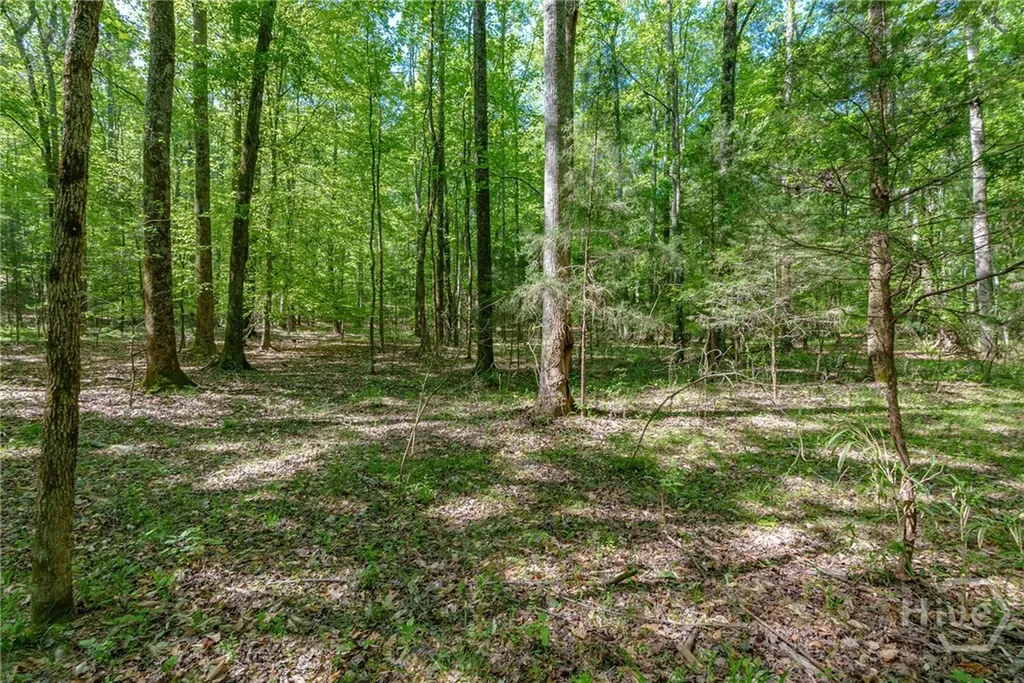 0 Cunningham Road Lexington GA 30648