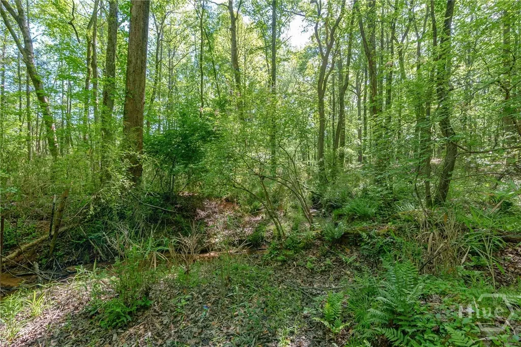 0 Cunningham Road Lexington GA 30648