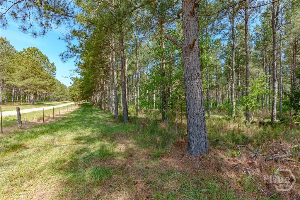 0 Cunningham Road Lexington GA 30648