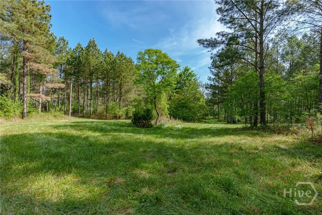 0 Cunningham Road Lexington GA 30648