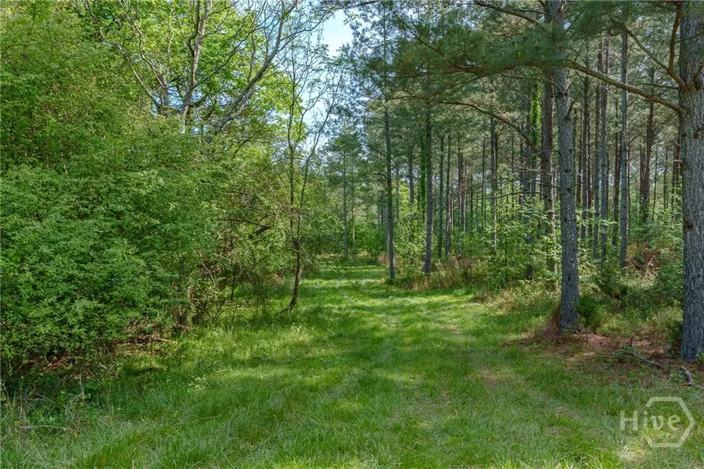0 Cunningham Road Lexington GA 30648