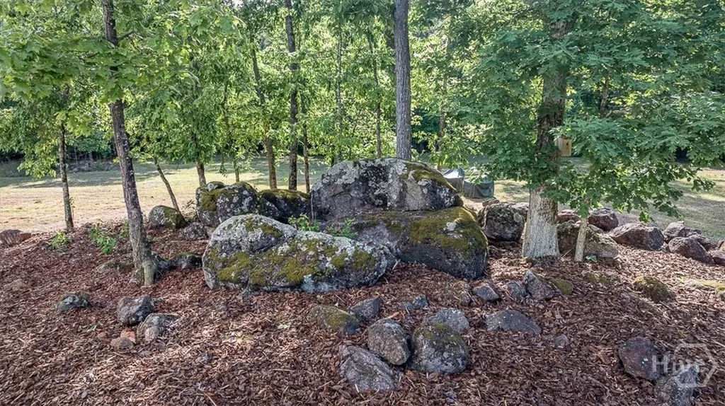 3093 Surry Ridge Drive Watkinsville GA 30677