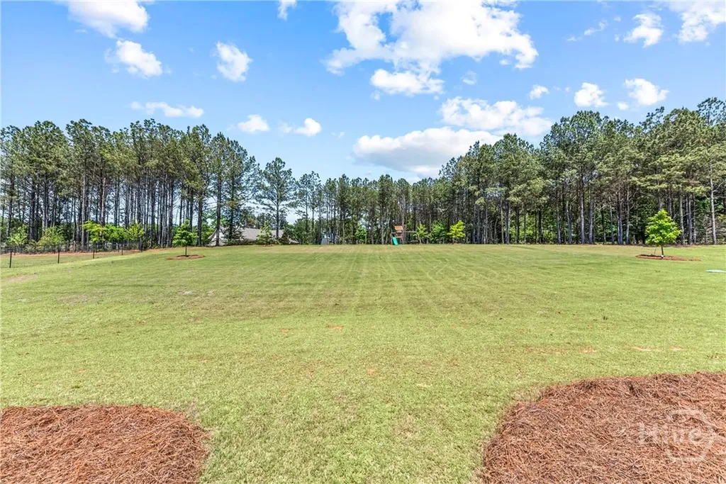 2364 Blazing Star Court Statham GA 30666