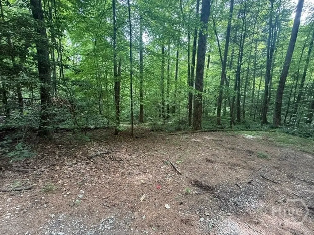 389 Fox Trot Clayton GA 30525