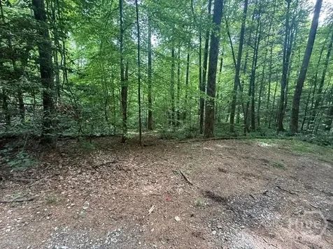 389 Fox Trot Clayton GA 30525