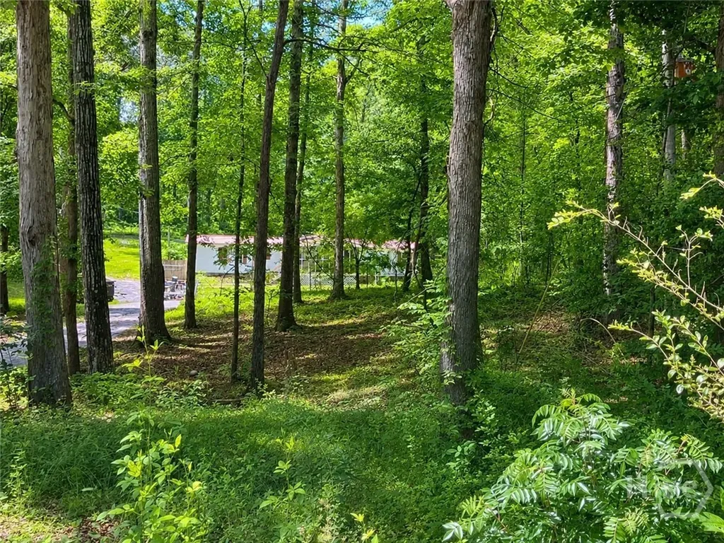 400 W Kellogg Drive Colbert GA 30628