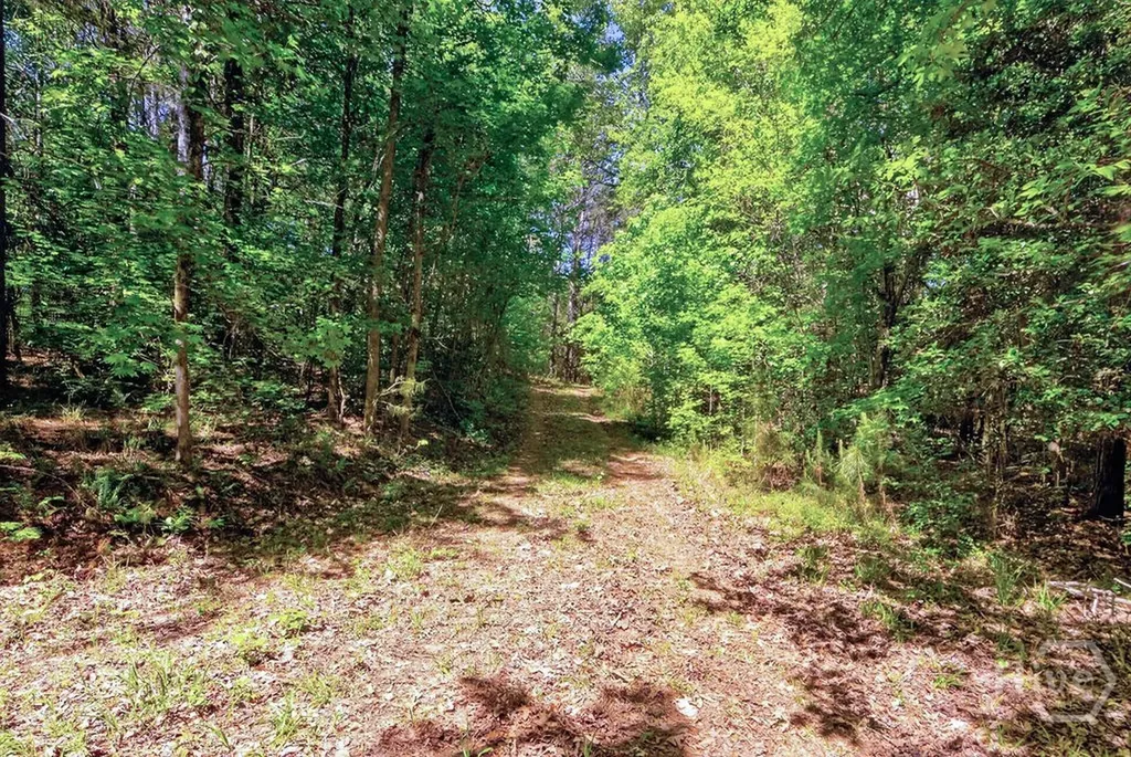 2917 Ruckersville Road Elberton GA 30635