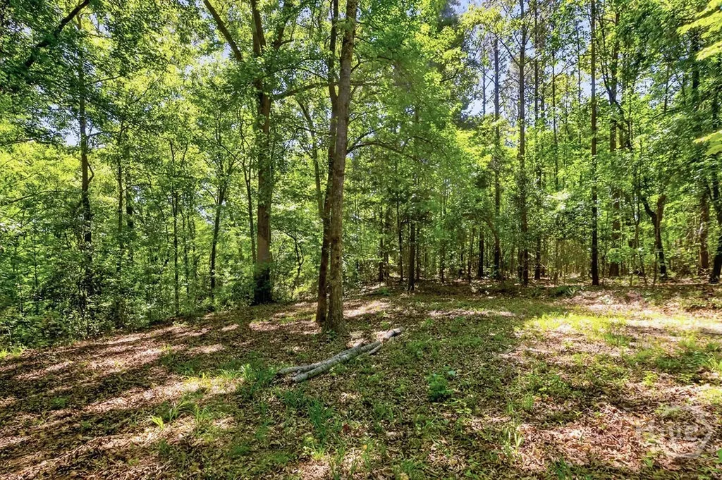 2917 Ruckersville Road Elberton GA 30635