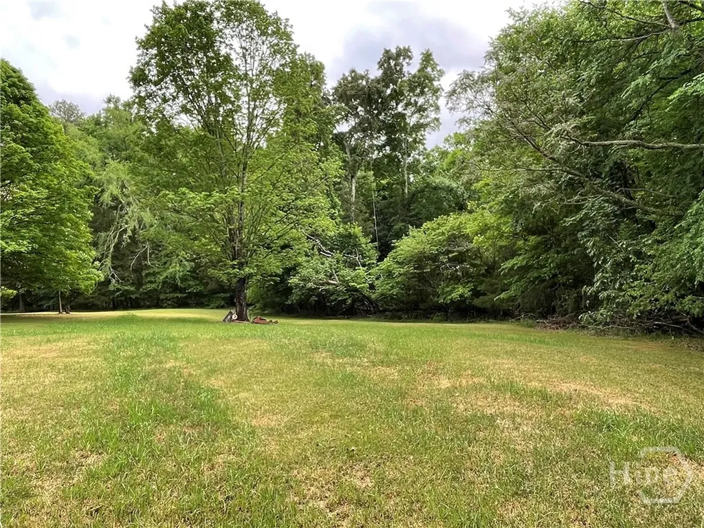837 Bartram Trace Rayle GA