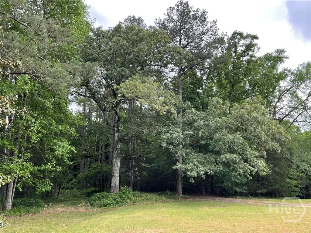 837 Bartram Trace Rayle GA