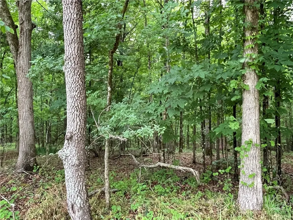 837 Bartram Trace Rayle GA