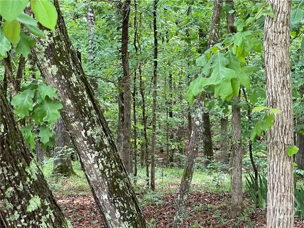 837 Bartram Trace Rayle GA