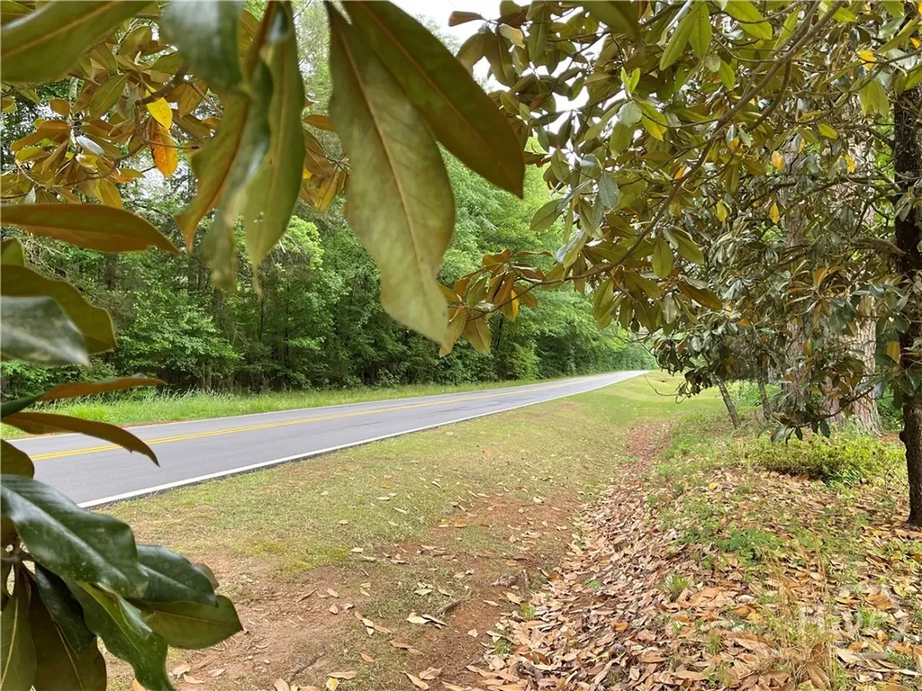 837 Bartram Trace Rayle GA