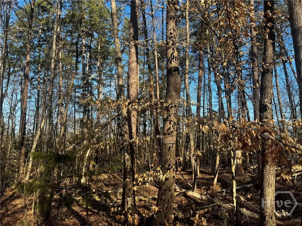 0 Alpine Way Lavonia GA 30553