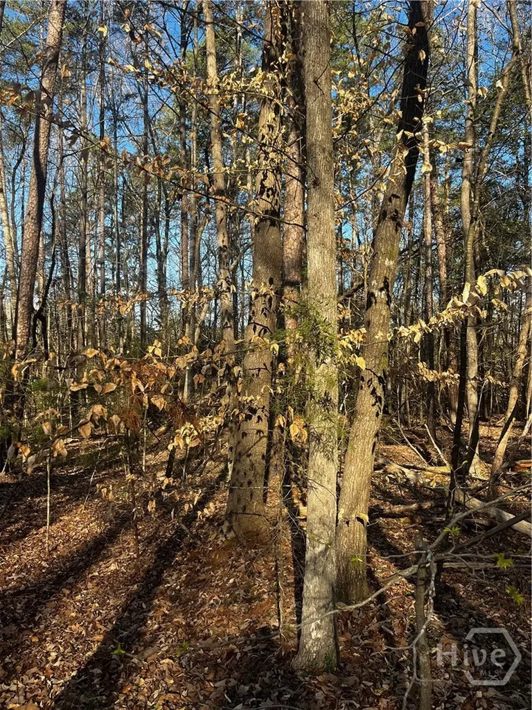 0 Alpine Way Lavonia GA 30553